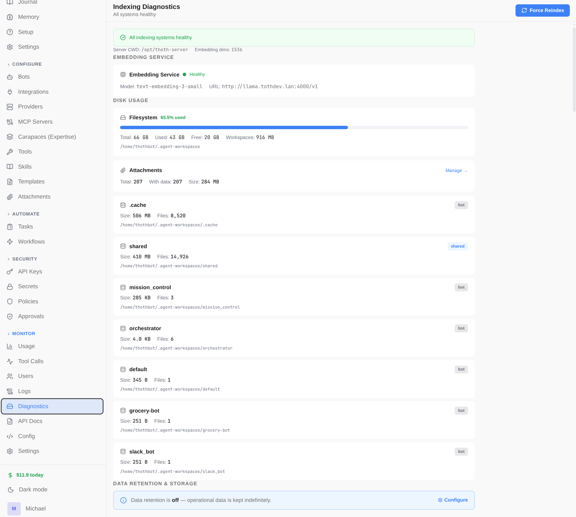 Indexing Diagnostics showing workspace storage and embedding service status