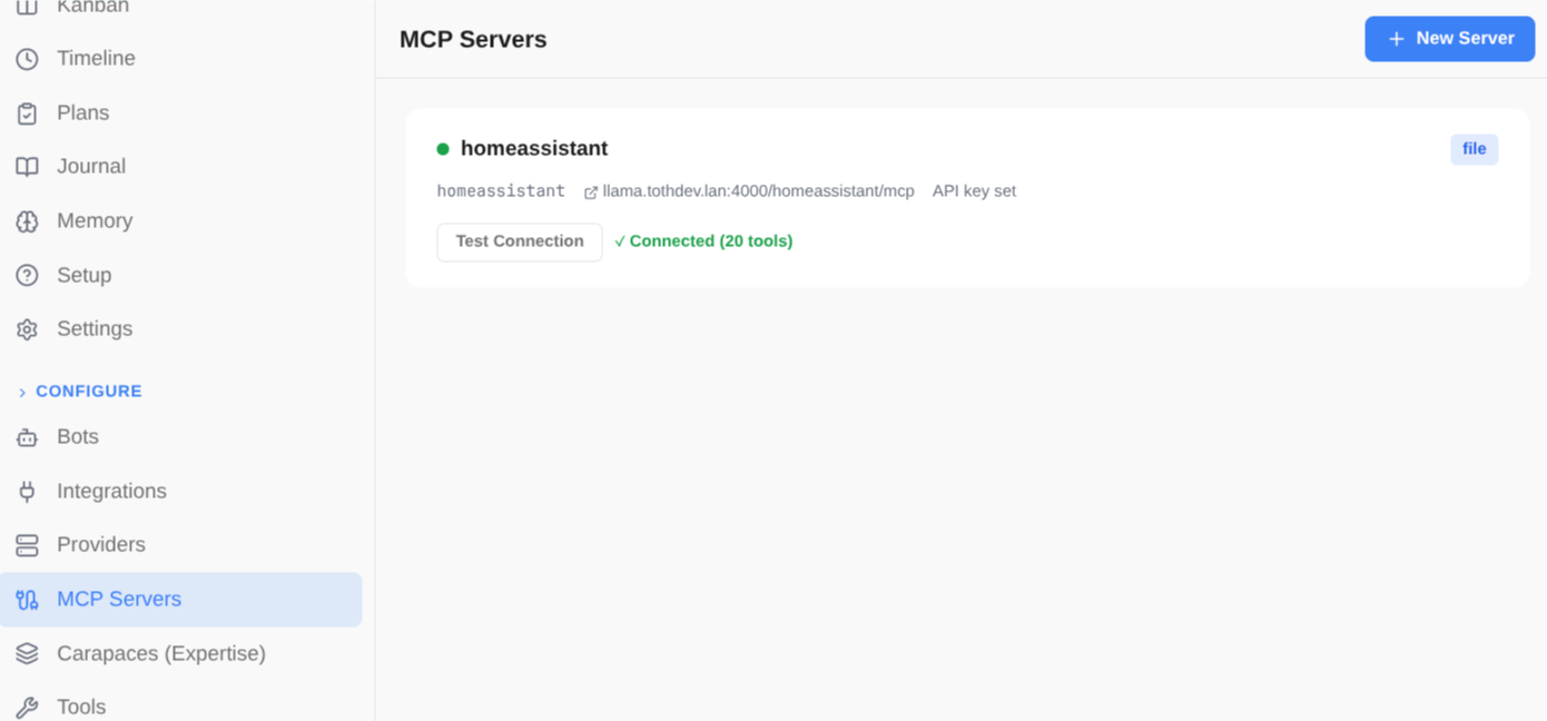 MCP Servers admin page showing connected server with 20 tools